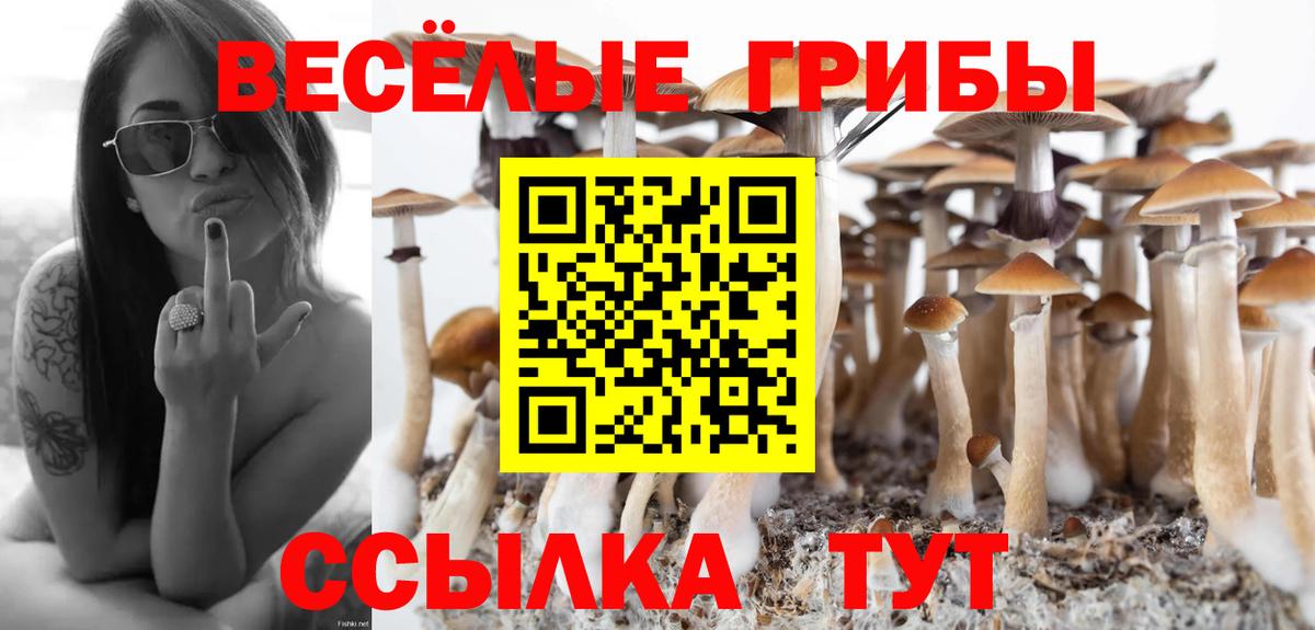 Борисоглебск  Псилоцибиновые грибы Magic Shrooms  наркота  Вход с VPN 